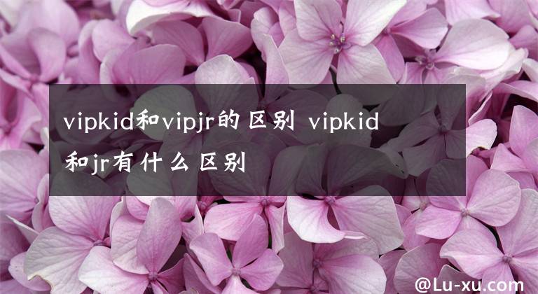 vipkid和vipjr的區(qū)別 vipkid和jr有什么區(qū)別