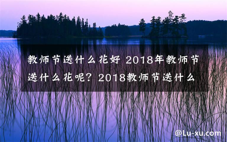 教師節(jié)送什么花好 2018年教師節(jié)送什么花呢？2018教師節(jié)送什么花合適及鮮花寓意