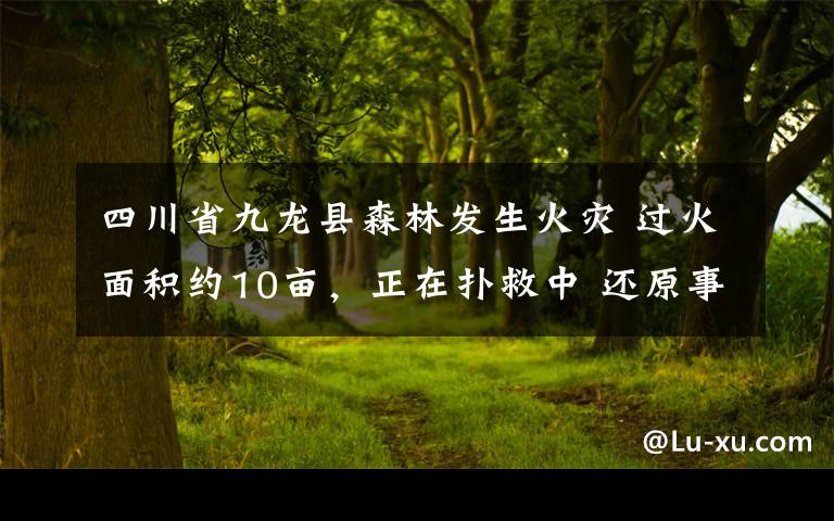 四川省九龍縣森林發(fā)生火災(zāi) 過(guò)火面積約10畝，正在撲救中 還原事發(fā)經(jīng)過(guò)及背后原因！