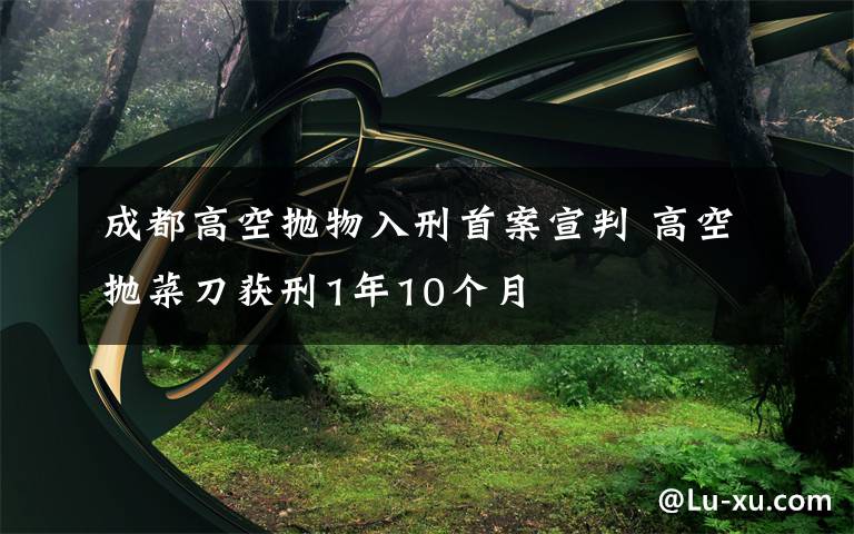 成都高空拋物入刑首案宣判 高空拋菜刀獲刑1年10個月