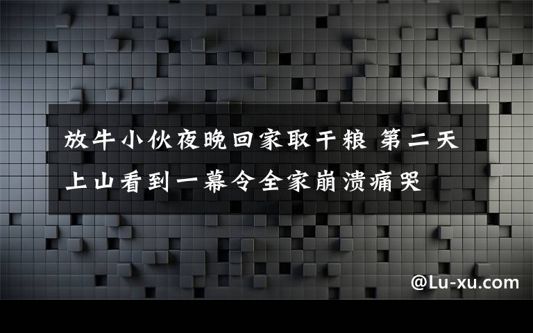 放牛小伙夜晚回家取干糧 第二天上山看到一幕令全家崩潰痛哭