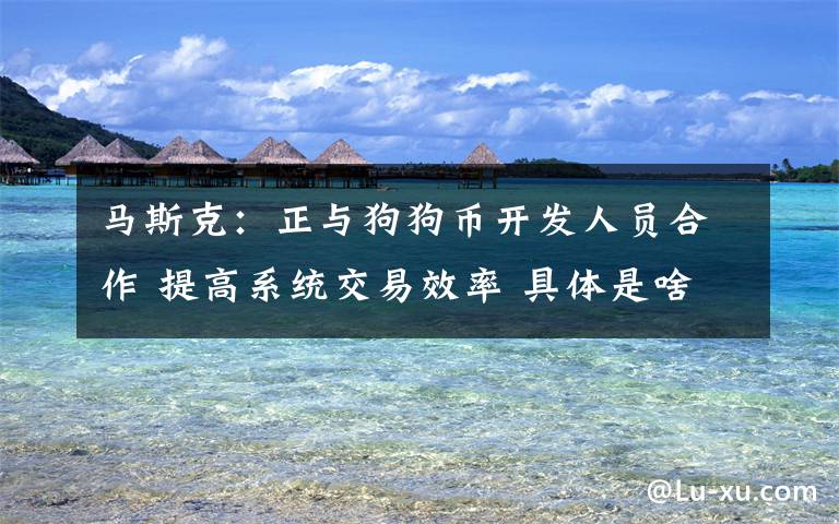 馬斯克：正與狗狗幣開發(fā)人員合作 提高系統(tǒng)交易效率 具體是啥情況?