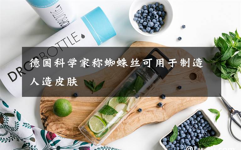 德國科學(xué)家稱蜘蛛絲可用于制造人造皮膚