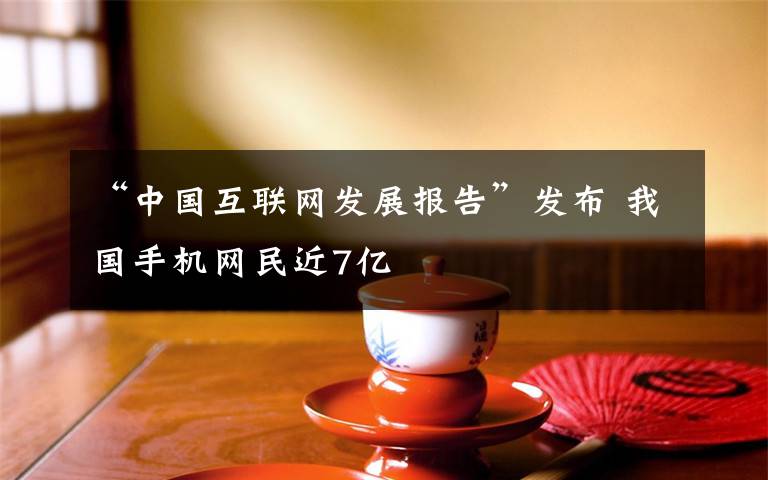 “中國互聯(lián)網(wǎng)發(fā)展報告”發(fā)布 我國手機網(wǎng)民近7億