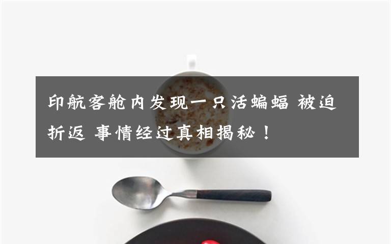 印航客艙內(nèi)發(fā)現(xiàn)一只活蝙蝠 被迫折返 事情經(jīng)過(guò)真相揭秘！