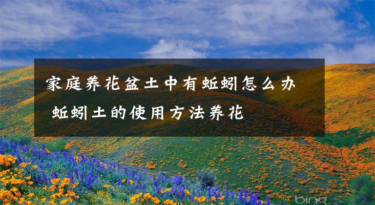 家庭養(yǎng)花盆土中有蚯蚓怎么辦 蚯蚓土的使用方法養(yǎng)花