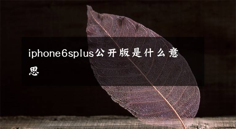 iphone6splus公開(kāi)版是什么意思