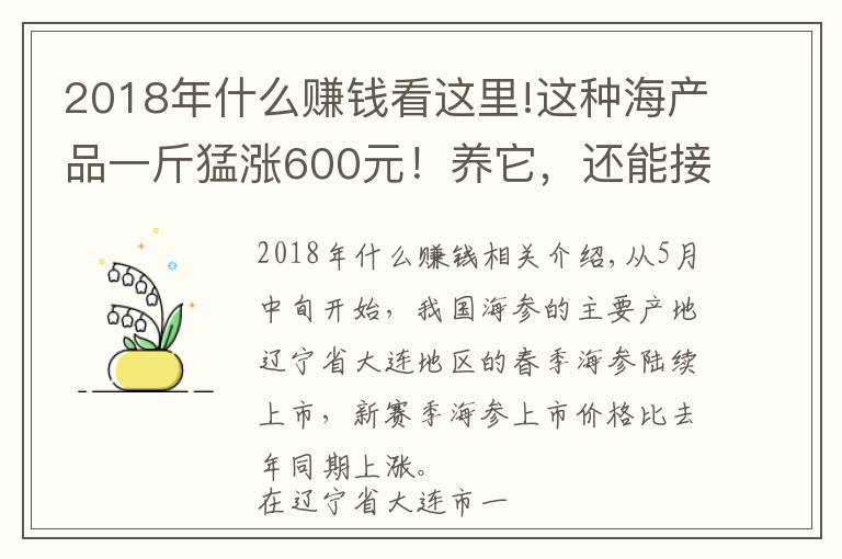 2018年什么賺錢看這里!這種海產(chǎn)品一斤猛漲600元！養(yǎng)它，還能接著賺錢嗎？