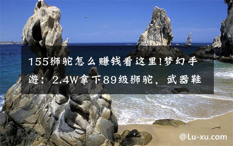 155獅駝怎么賺錢看這里!夢幻手游：2.4W拿下89級獅駝，武器鞋子屬性優(yōu)秀，"回血"不少