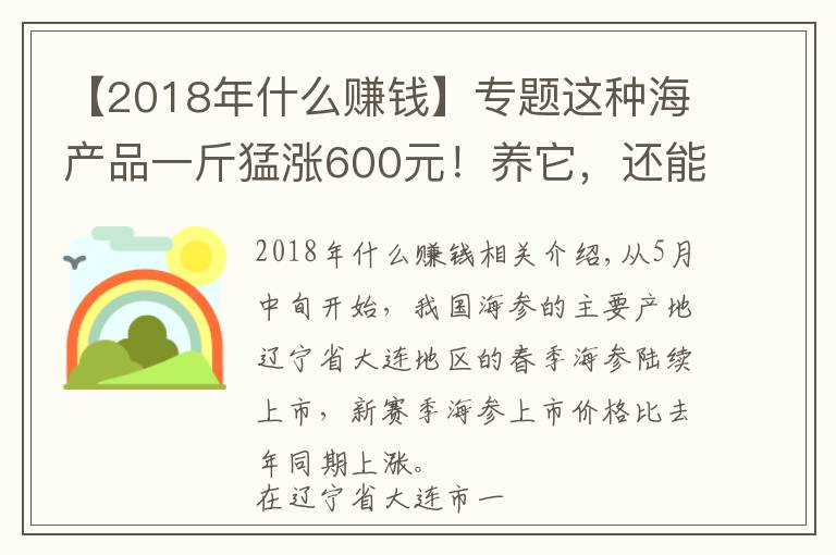 【2018年什么賺錢】專題這種海產(chǎn)品一斤猛漲600元！養(yǎng)它，還能接著賺錢嗎？