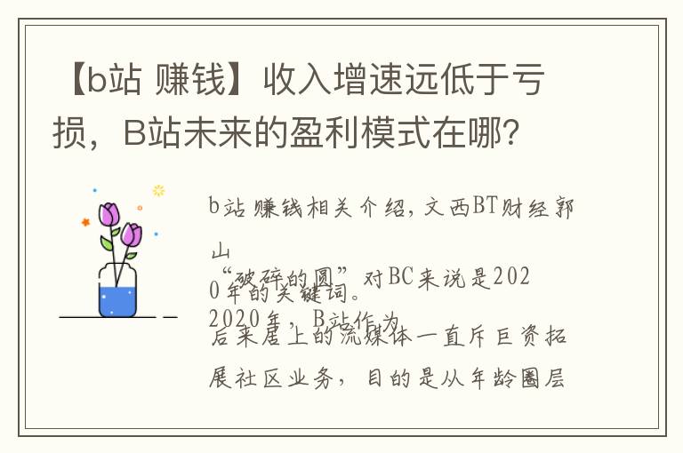 【b站 賺錢】收入增速遠低于虧損，B站未來的盈利模式在哪？