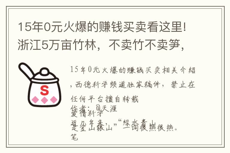 15年0元火爆的賺錢買賣看這里!浙江5萬畝竹林，不賣竹不賣筍，老板可每年躺賺70萬，是騙局嗎？