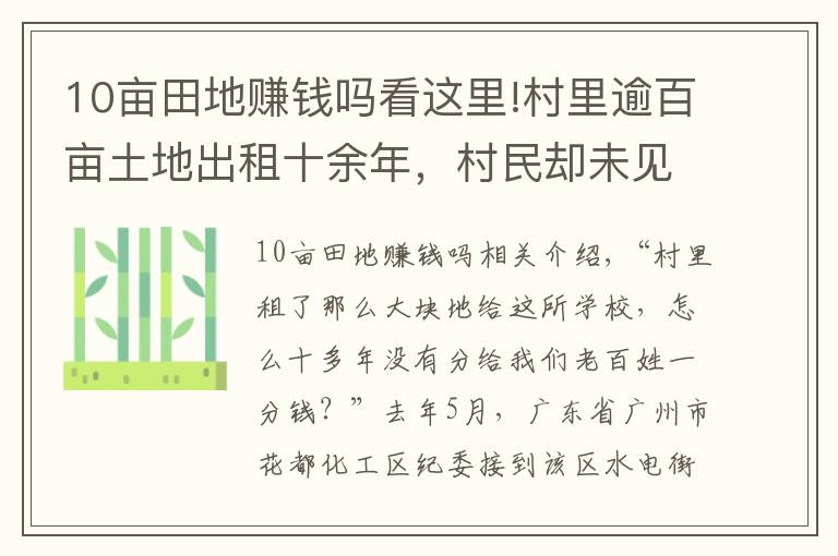 10畝田地賺錢嗎看這里!村里逾百畝土地出租十余年，村民卻未見絲毫租金，錢呢？