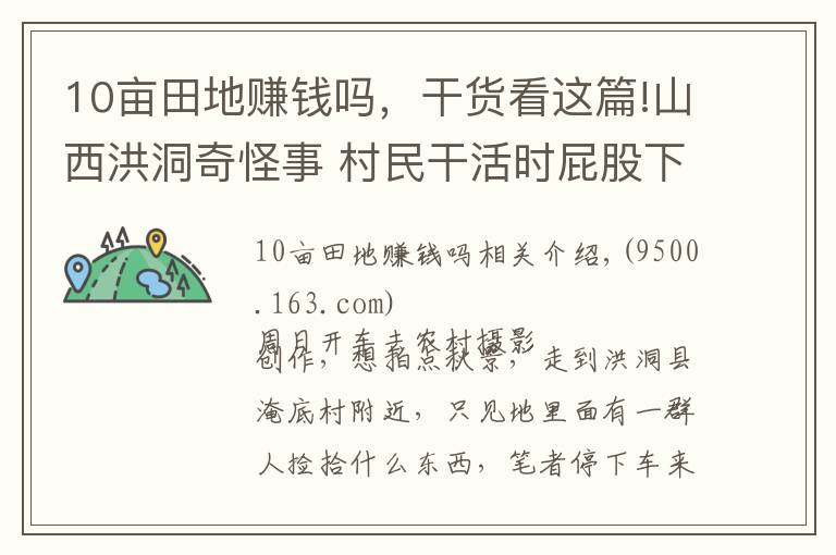 10畝田地賺錢嗎，干貨看這篇!山西洪洞奇怪事 村民干活時屁股下綁個桶 種兩畝半地收入了五萬元