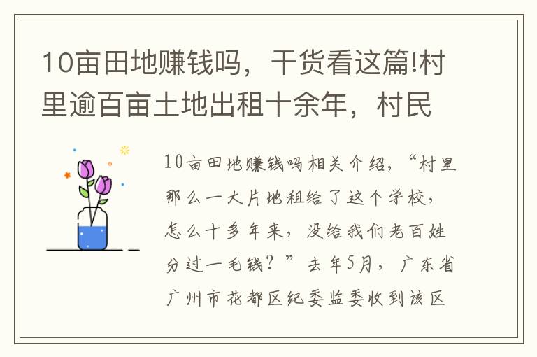 10畝田地賺錢嗎，干貨看這篇!村里逾百畝土地出租十余年，村民卻未見絲毫租金，錢呢？