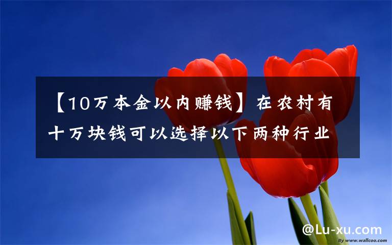 【10萬本金以內(nèi)賺錢】在農(nóng)村有十萬塊錢可以選擇以下兩種行業(yè)，比打工強(qiáng)還能致富