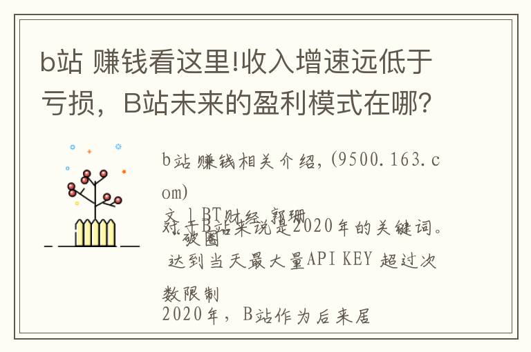 b站 賺錢看這里!收入增速遠低于虧損，B站未來的盈利模式在哪？