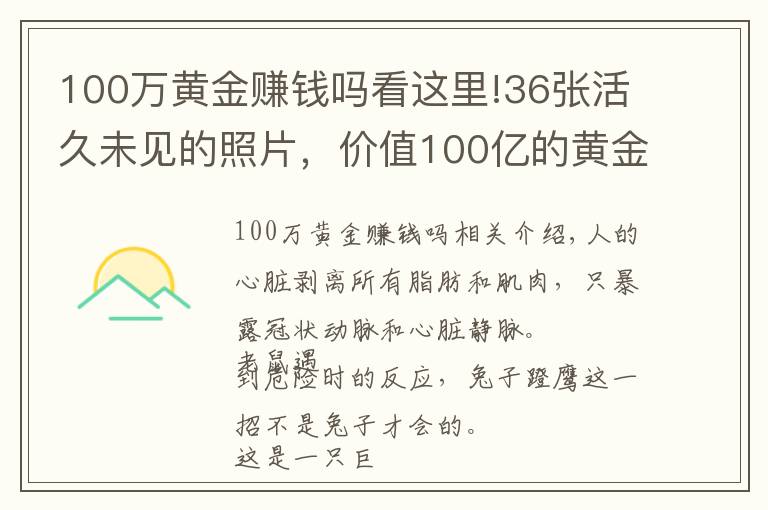 100萬黃金賺錢嗎看這里!36張活久未見的照片，價值100億的黃金是多少？這輩子看看也值了