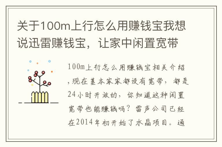 關(guān)于100m上行怎么用賺錢寶我想說迅雷賺錢寶，讓家中閑置寬帶不再白白浪費