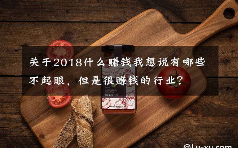 關于2018什么賺錢我想說有哪些不起眼，但是很賺錢的行業(yè)？