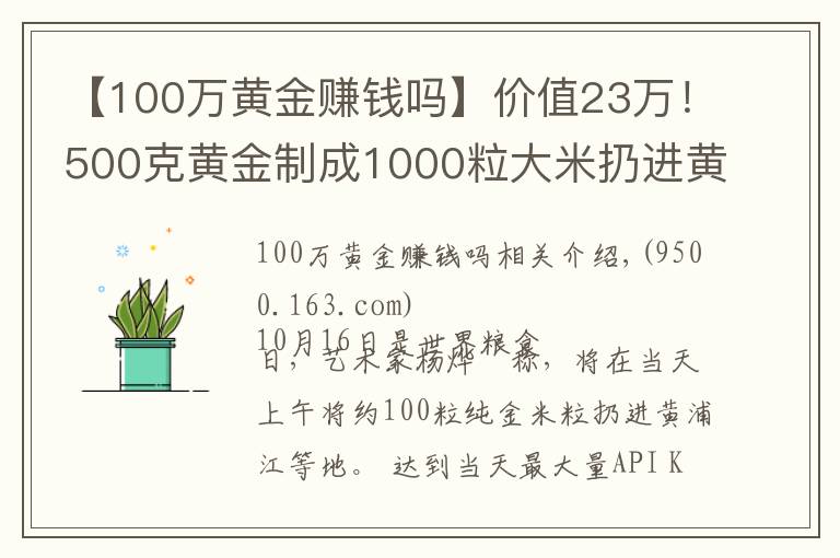 【100萬黃金賺錢嗎】價值23萬！500克黃金制成1000粒大米扔進黃浦江？網(wǎng)友炸鍋了