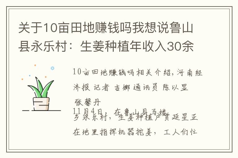 關(guān)于10畝田地賺錢嗎我想說魯山縣永樂村：生姜種植年收入30余萬元