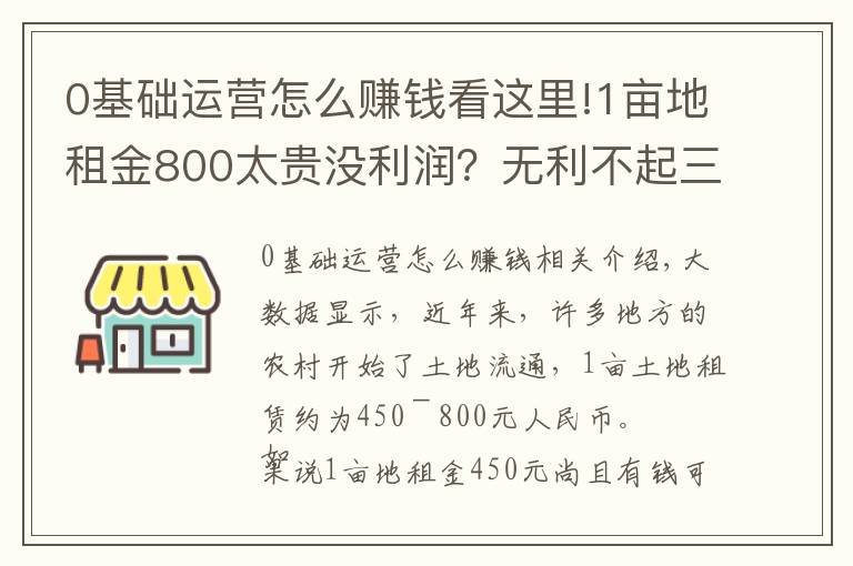 0基礎運營怎么賺錢看這里!1畝地租金800太貴沒利潤？無利不起三分早，賺錢靠3個“法寶”