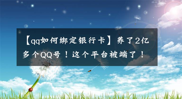 【qq如何綁定銀行卡】養(yǎng)了2億多個(gè)QQ號(hào)！這個(gè)平臺(tái)被端了！