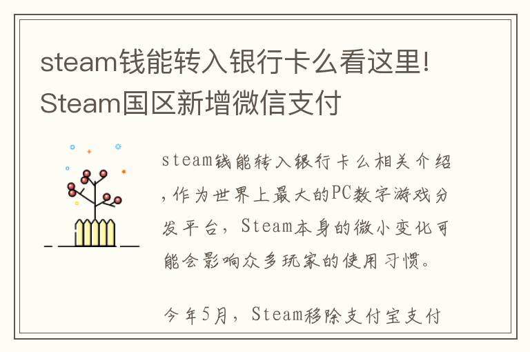 steam錢能轉入銀行卡么看這里!Steam國區(qū)新增微信支付