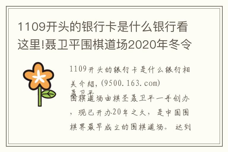 1109開頭的銀行卡是什么銀行看這里!聶衛(wèi)平圍棋道場(chǎng)2020年冬令營(yíng)招生簡(jiǎn)章