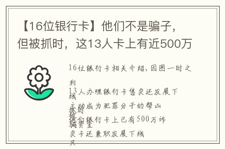 【16位銀行卡】他們不是騙子，但被抓時，這13人卡上有近500萬！