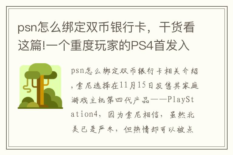 psn怎么綁定雙幣銀行卡，干貨看這篇!一個重度玩家的PS4首發(fā)入手體驗