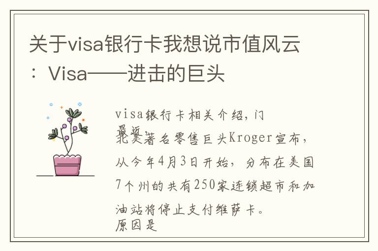 關(guān)于visa銀行卡我想說(shuō)市值風(fēng)云：Visa——進(jìn)擊的巨頭