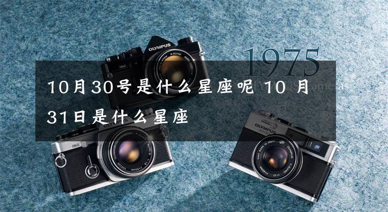 10月30號是什么星座呢 10 月31日是什么星座