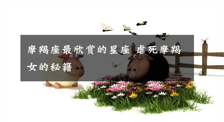 摩羯座最欣賞的星座 虐死摩羯女的秘籍