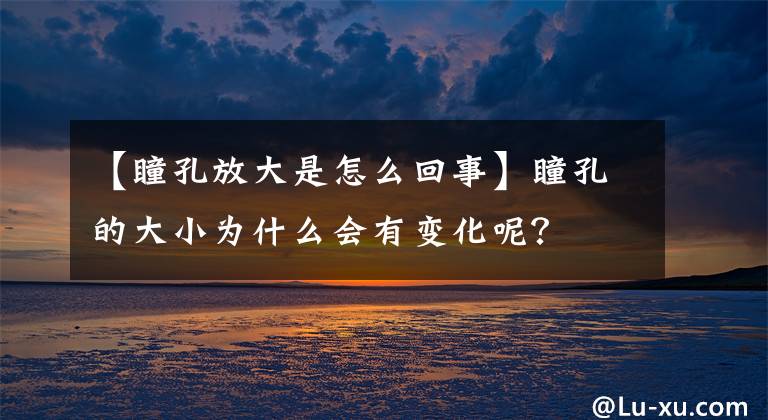 【瞳孔放大是怎么回事】瞳孔的大小為什么會有變化呢？