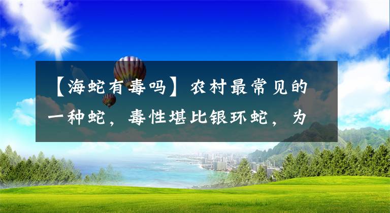 【海蛇有毒嗎】農(nóng)村最常見的一種蛇，毒性堪比銀環(huán)蛇，為何卻總被人當(dāng)成無(wú)毒蛇？