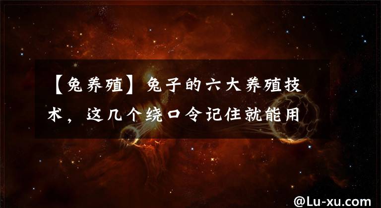 【兔養(yǎng)殖】兔子的六大養(yǎng)殖技術，這幾個繞口令記住就能用上，快來試吧