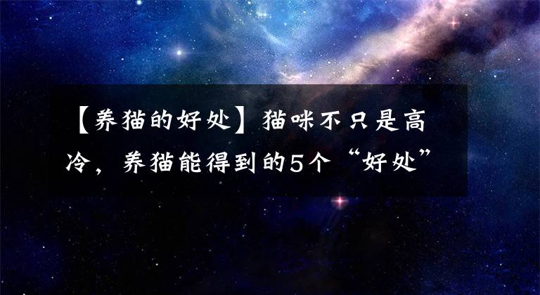 【養(yǎng)貓的好處】貓咪不只是高冷，養(yǎng)貓能得到的5個“好處”，鏟屎官們有同感嗎？