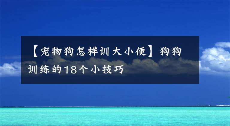 【寵物狗怎樣訓大小便】狗狗訓練的18個小技巧