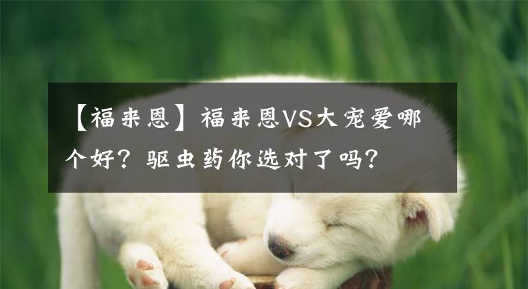 【福來恩】福來恩VS大寵愛哪個好？驅(qū)蟲藥你選對了嗎？