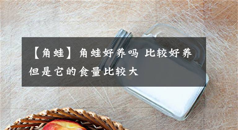 【角蛙】角蛙好養(yǎng)嗎 比較好養(yǎng)但是它的食量比較大