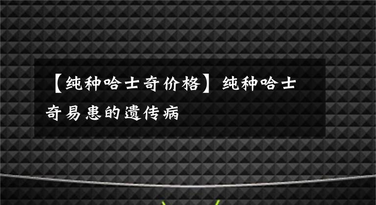 【純種哈士奇價格】純種哈士奇易患的遺傳病