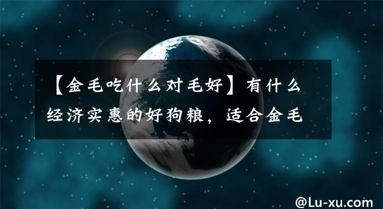 【金毛吃什么對毛好】有什么經(jīng)濟實惠的好狗糧，適合金毛吃？