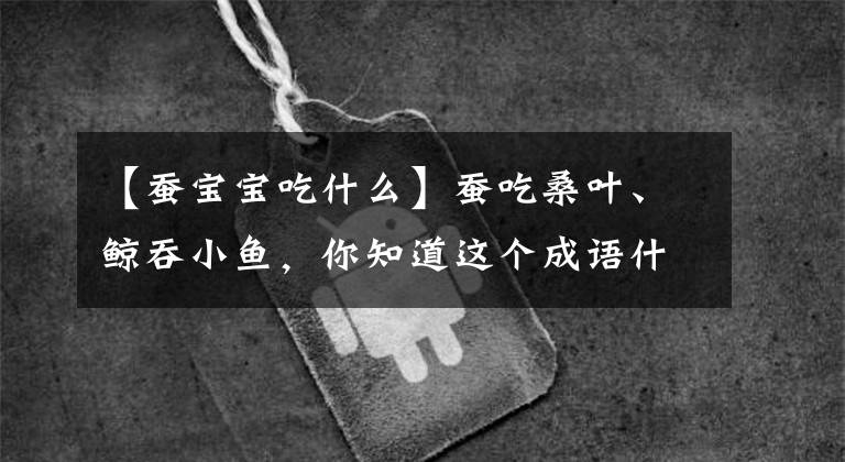 【蠶寶寶吃什么】蠶吃桑葉、鯨吞小魚，你知道這個(gè)成語什么意思嗎？