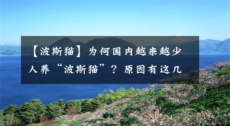 【波斯貓】為何國(guó)內(nèi)越來(lái)越少人養(yǎng)“波斯貓”？原因有這幾個(gè)