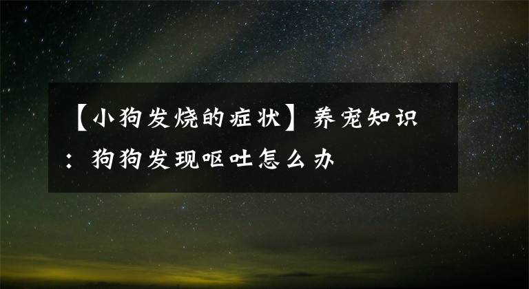 【小狗發(fā)燒的癥狀】養(yǎng)寵知識：狗狗發(fā)現(xiàn)嘔吐怎么辦