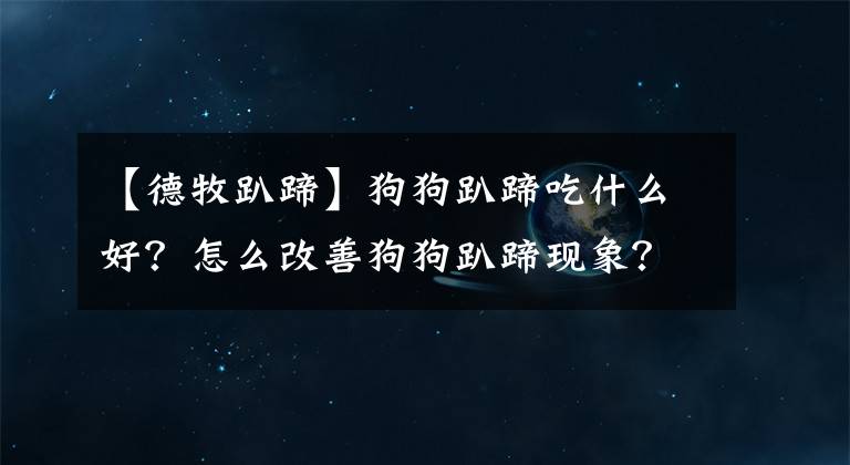 【德牧趴蹄】狗狗趴蹄吃什么好？怎么改善狗狗趴蹄現(xiàn)象？