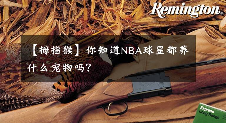 【拇指猴】你知道NBA球星都養(yǎng)什么寵物嗎？