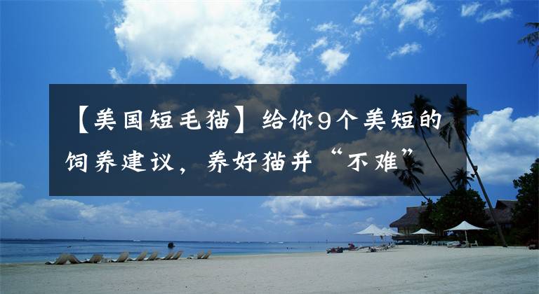 【美國(guó)短毛貓】給你9個(gè)美短的飼養(yǎng)建議，養(yǎng)好貓并“不難”